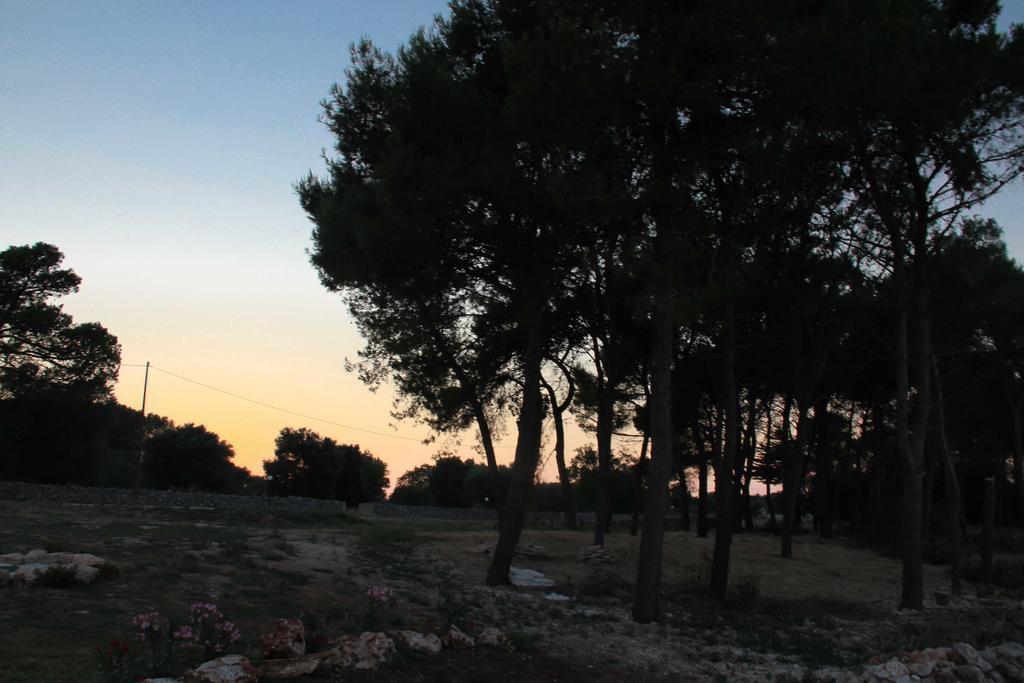 B&B Masseria Nuove Caselle Villa Castelli Exterior foto